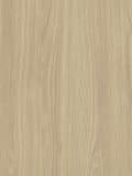 Corteccia S173