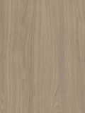 Corteccia S174