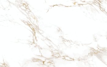 Dekton Entzo