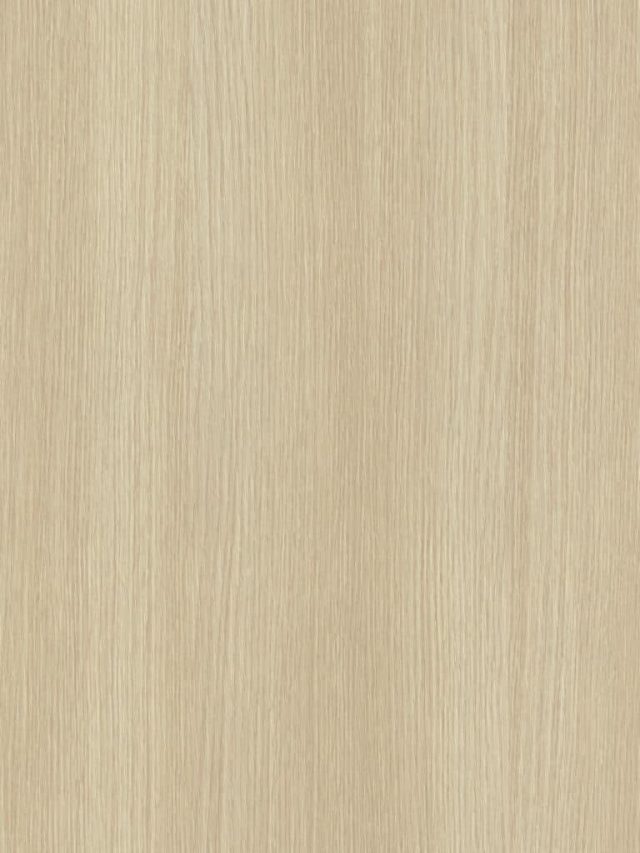 Quercia S206
